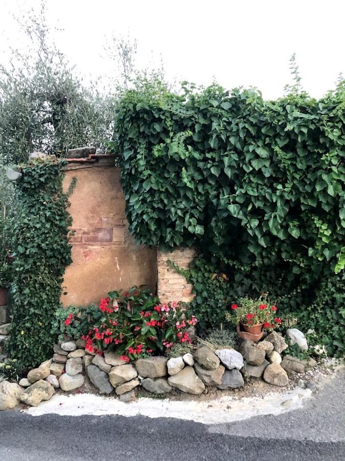 Appartamento Stella: Nel Cuore Delle Colline Toscane Chianni Bagian luar foto